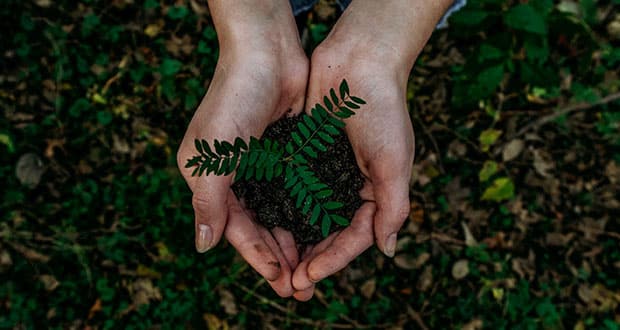 24 Stunden Gastlichkeit-Autor Balázs Tarsoly gibt Gastronomen in seinen Beiträgen Ratschläge hin zu mehr Nachhaltigkeit im Betrieb. Eine Übersicht.