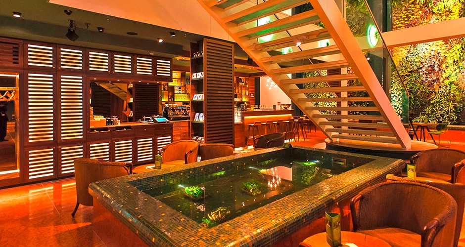 Am 28. September öffnet das Planet!Based-Restaurant Ursprung von Dussmann mit europaweit einzigartigem Konzept. Im Fokus: die Planetary Health Diet.