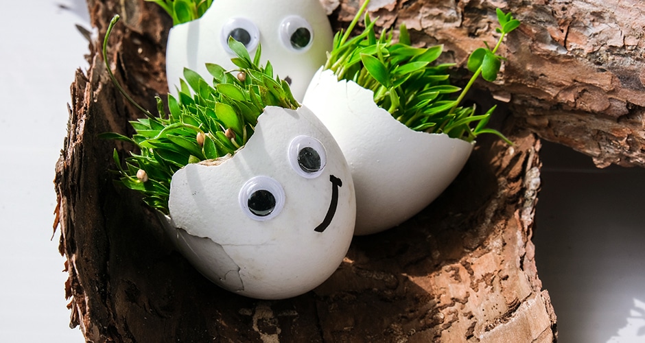 Vegane Ei-Alternativen werden immer beliebter. Eine Übersicht, welche Alternative zu welchem Gericht passt.