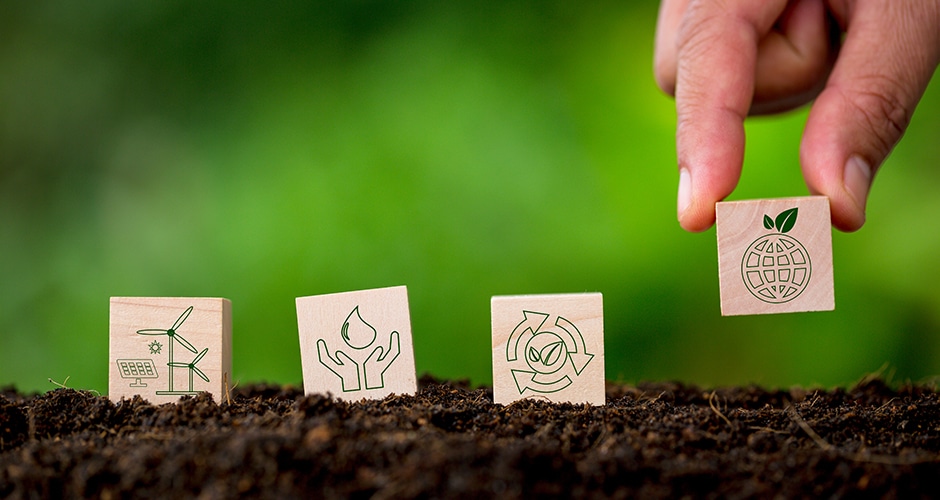 Beim Wettbewerb WeltverbEsserer dreht sich alles um nachhaltiges Essen.