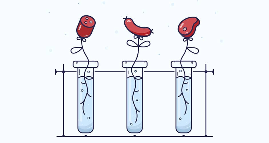 Was ist Präzisionsfermentation und welche Vorteile bringt Cultivated Meat? Diese und viele weitere Fragen greifen zwei neue Infografiken auf.