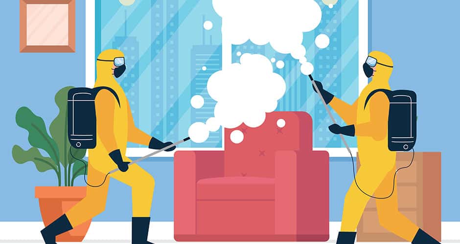 In einer sechsteiligen Serie gibt es wertvolle Tipps zu Schädlingen im Hotel. Fliegen stehen im Zentrum des fünften Teils. (Quelle: Colourbox.de)