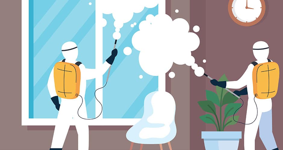 In einer sechsteiligen Serie gibt es wertvolle Tipps zur Schädlingsbekämpfung im Hotel. Im vierten Teil dreht sich alles um Mäuse. (Quelle: Colourbox.de)