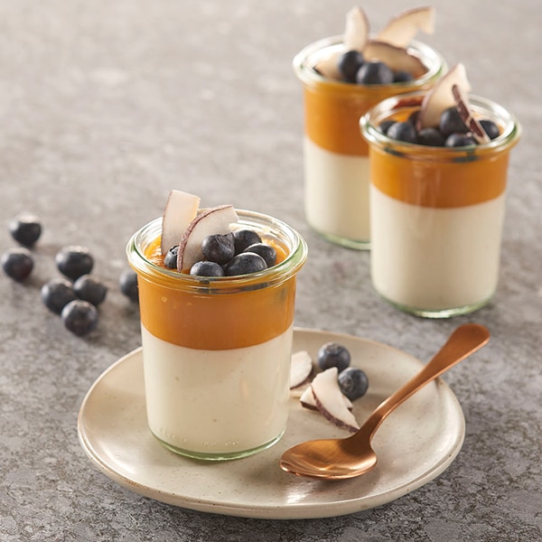 Panna Cotta Tropic mit frischen Heidelbeeren und Kokoschips.