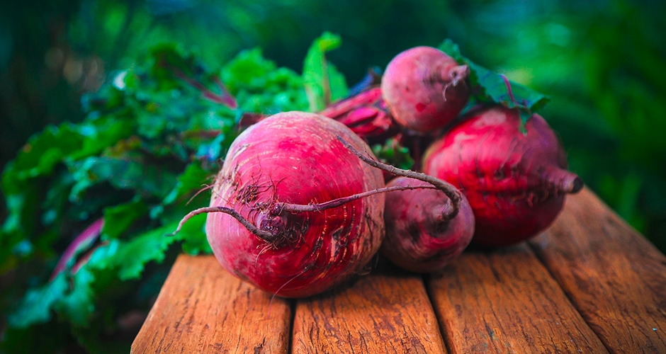 Am Universitätsklinikum Essen sollen Patienten und Mitarbeiter künftig nachhaltiger und gesünder essen – ganz im Sinne der Planetary Health Diet. Dafür wurde das Projekt Green Hospital Food ins Leben gerufen.