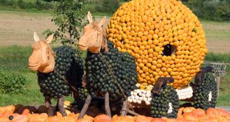 Der Tag der Regionen feiert sein 25-jähriges Bestehen und ruft zum Mitmachen im Aktionszeitraum Oktober auf.